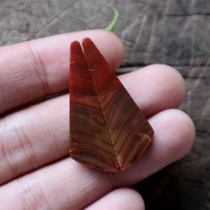 Polished Opalized Wood Jasper Gemstone Pair: Translucent Teardrop