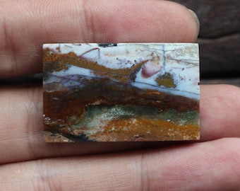 Multicolor Scenic Opalized Petrified Wood Cabochons Collector Pieces