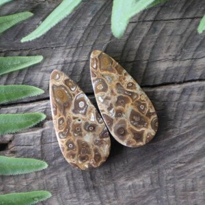 Könnte beinhalten: Zwei tropfenförmige braune und weiße Achat-Cabochons mit einem wirbelnden Muster. Die Cabochons liegen auf einer Holzoberfläche.