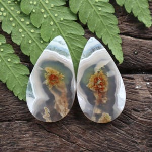 May include: Two teardrop-shaped agate stones with intricate patterns of white, gray, brown, and orange. The stones are set against a backdrop of green fern leaves and a dark wooden surface, showcasing natural textures.