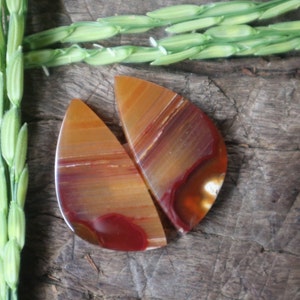 Puede incluir: Dos rebanadas de ágata con rayas rojas, naranjas y marrones. Las rebanadas tienen forma de lágrima y están dispuestas una al lado de la otra.