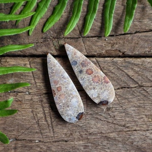 Puede incluir: Un par de pendientes en forma de lágrima hechos de coral fosilizado. El coral es de color marrón claro con un patrón blanco y marrón. Los pendientes miden aproximadamente 5 cm de largo.