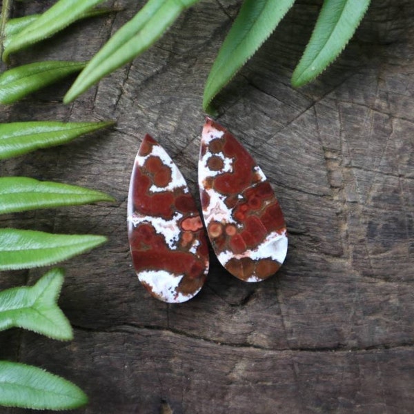 orbicular river jasper pair