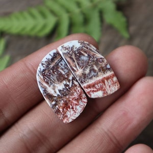 May include: Two agate cabochons with a white, brown, and red dendritic pattern. The cabochons are cut in a teardrop shape and have a smooth, polished surface.