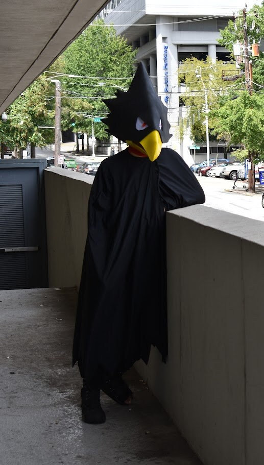 Tokoyami Cosplay (pre-made, Used) India