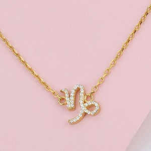 14Kゴールド山羊座星座シンボルネックレス、山羊座誕生日プレゼント、ミニマリスト誕生星座ネックレス、親友への星座ジュエリーギフト