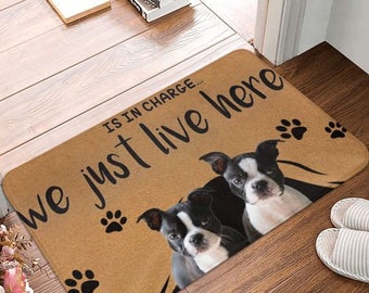 Custom Doormats with Dog Face Personalized Photo Pet Face on Floor Mat Outdoor 