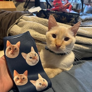 Op de afbeelding: Een paar blauwe sokken met vier verschillende kattengezichten erop gedrukt. Een witte kat met oranje markeringen zit op een blauwe deken en kijkt naar de sokken.