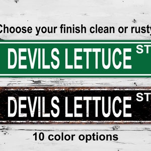 Op de afbeelding: Twee metalen straatnaamborden met de tekst "DEVILS LETTUCE ST" in witte letters. Het bovenste bord is groen met een schone afwerking. Het onderste bord is zwart met een roestige afwerking. De tekst "Kies uw afwerking schoon of roestig" staat boven de borden. De tekst "10 kleur opties" staat onder de borden.