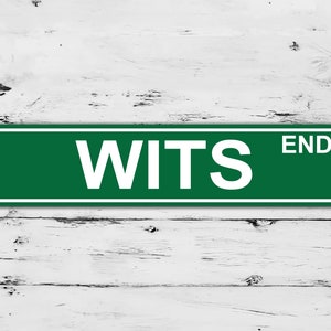 May include: Green street sign with white text that reads "WITS END".