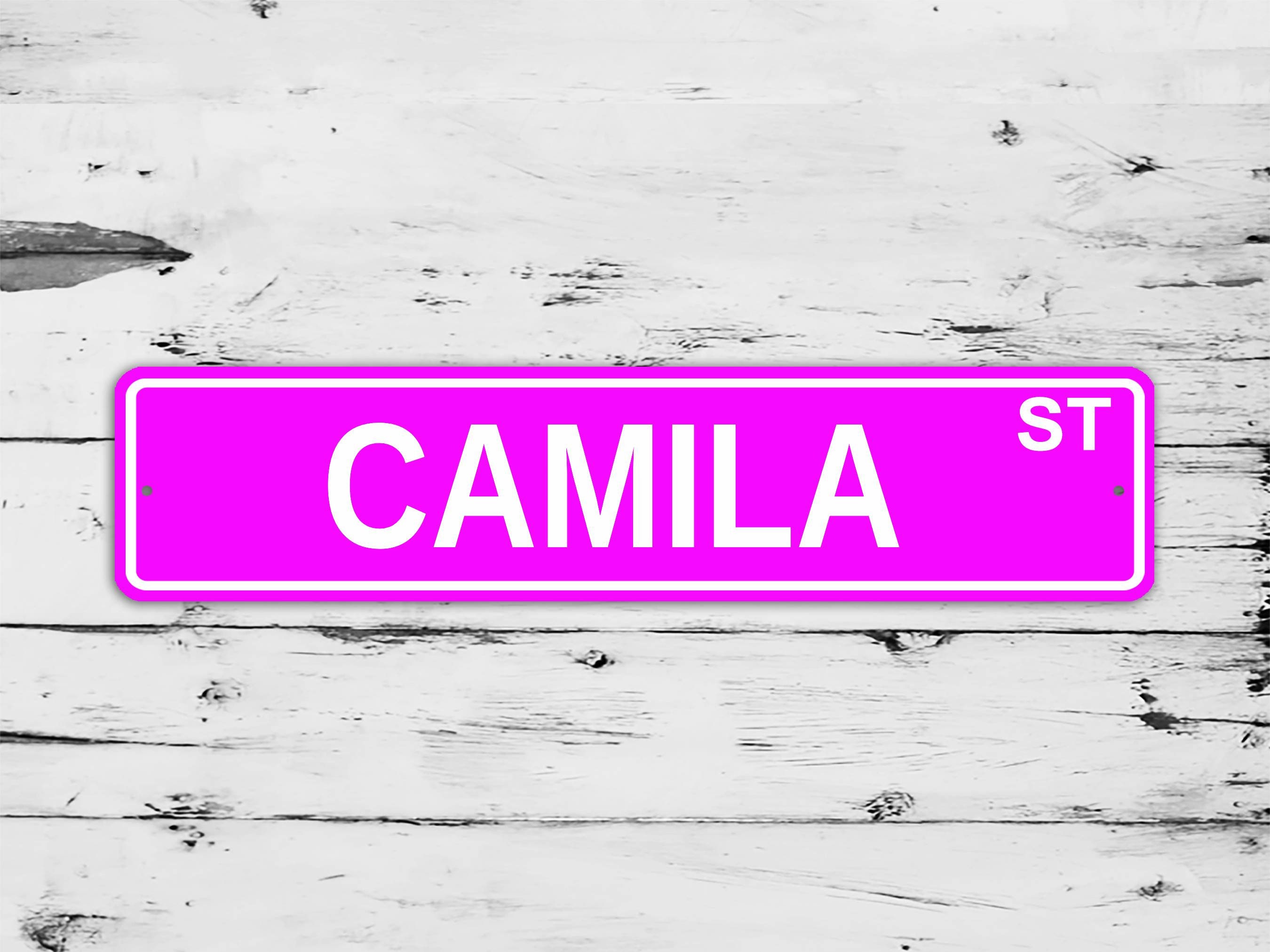 Camille Baby Name Meaning Baby Names Nursery Sign Girl Names Printables  Instant Digital Downloads