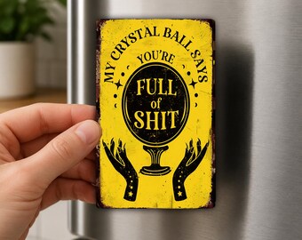 Kristallen bol koelkastmagneet, grappig cadeau voor een waarzegger, citaat "Vol met onzin", sarcastische humor, grapmagneet voor volwassenen