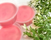 Soy Wax Melts, Wax Tarts, Caramel Apple, Wax Pots