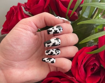 May include: Close-up of a hand with long, black and white cow print nails. The hand is holding a bouquet of red roses.