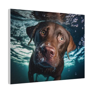 Cute Chocolate Lab Dog Swimming Underwater Matte Canvas, Stretched, 0.75&quot;, AI, Lab, Chocolate Lab, Swimming, Cute