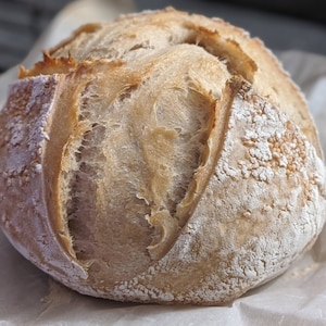Organic Classic Sourdough Starter, Homemade Bread