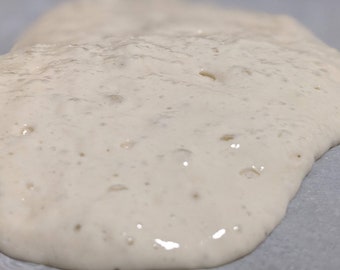 Classic Sourdough Starter, Organic / Homemade Bread