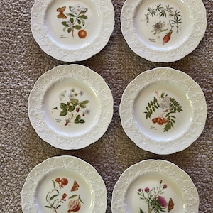 France Lierre Sauvage French Plates - Etsy Australia