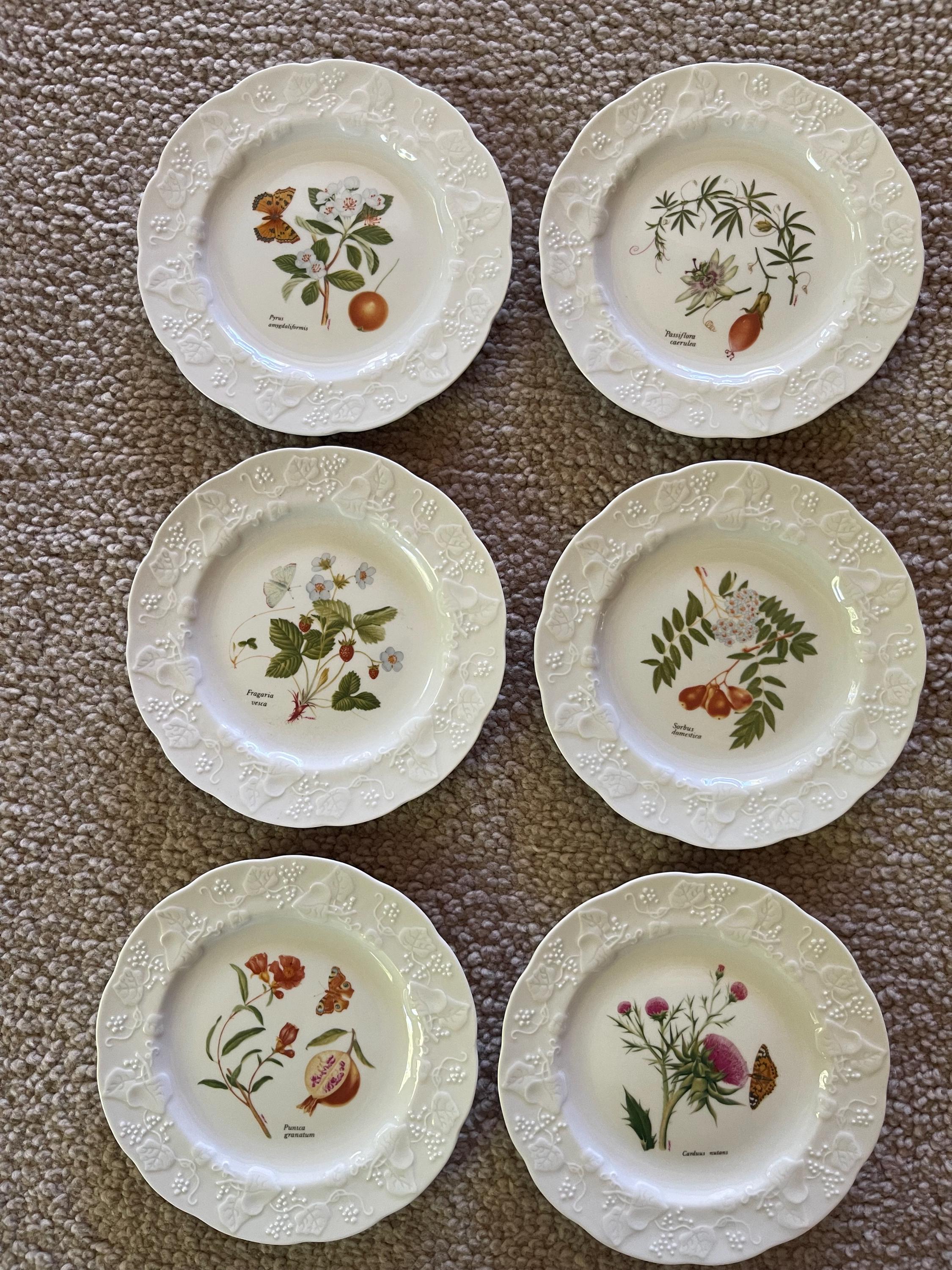 Lierre sauvage plate - Etsy 日本
