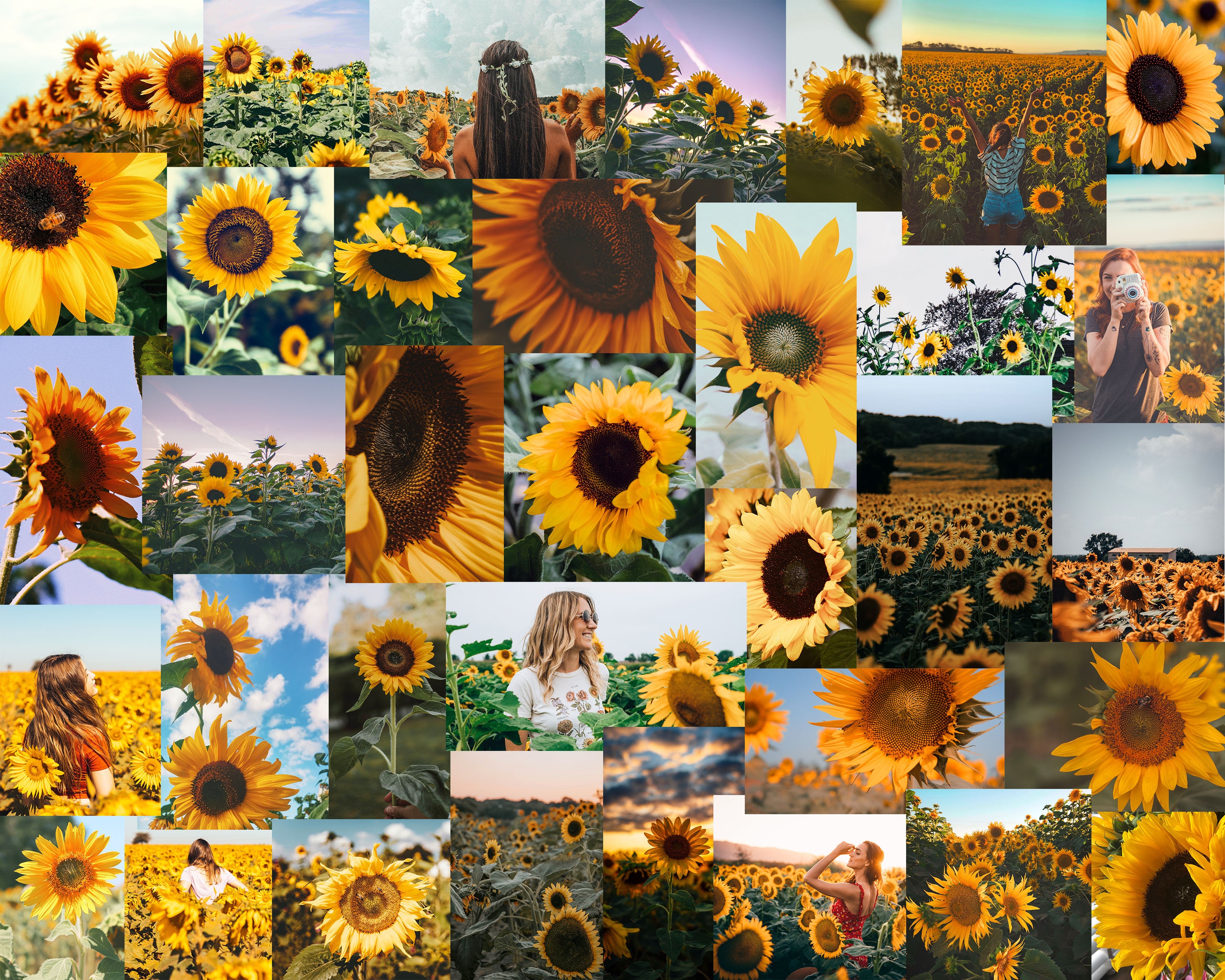 Sunflower Aesthetic Photo Wall Collage Kit Set of 45 Files Etsy
