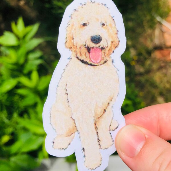 Golden doodle Sticker: VSCO, Hydroflask Sticker, MacBook Decal, Perro, Cachorro, Pegatina de perro