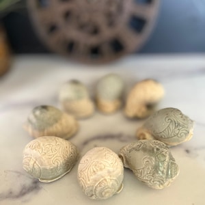 Sea shell soap , sea shell, Sand&Seas sea shell soap , walnut shells