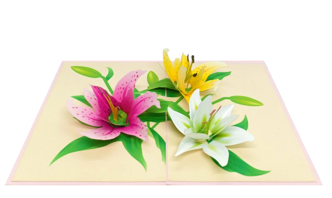 Lily Pop up Card - Floral 3D Anniversary Card - Etsy