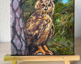 Original Owl Oil Painting, Small Bird Art on Canvas (6"x 6")