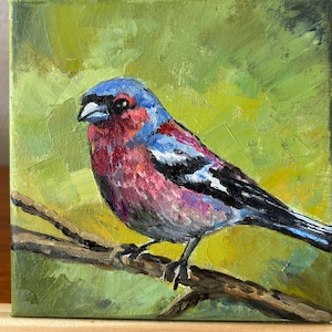 Bird oil wall art on canvas, ORIGINAL oil painting on stretched canvas 6&#39;&#39;x 6&#39;&#39;, bird small artwork.