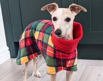 May include: A slender dog wearing a colorful plaid coat with a red turtleneck collar. The coat features a pattern of red, green, yellow, and dark red squares. The dog stands on a light wood floor.