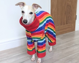 Multicoloured Stripe Whippet onesie/pyjamas made to order