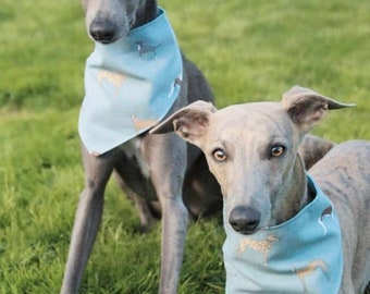 greyhound bandana