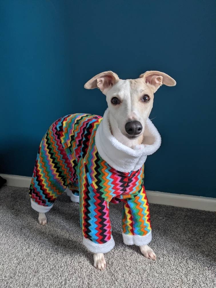 Whippet xmas jumper hotsell