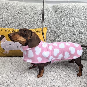 May include: A brown and tan dachshund wearing a pink fleece dog sweater with white hearts. The dog is sitting on a gray couch with a yellow pillow behind it.
