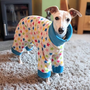 May include: A white dog wearing a white and blue pajamas with colorful stars. The dog is standing on a gray rug.