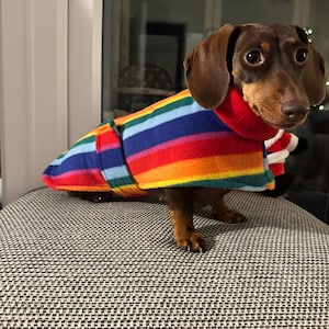 Può includere: Un bassotto marrone e fulvo con un maglione di pile a righe arcobaleno. Il cane è in piedi su una superficie testurizzata marrone chiaro.