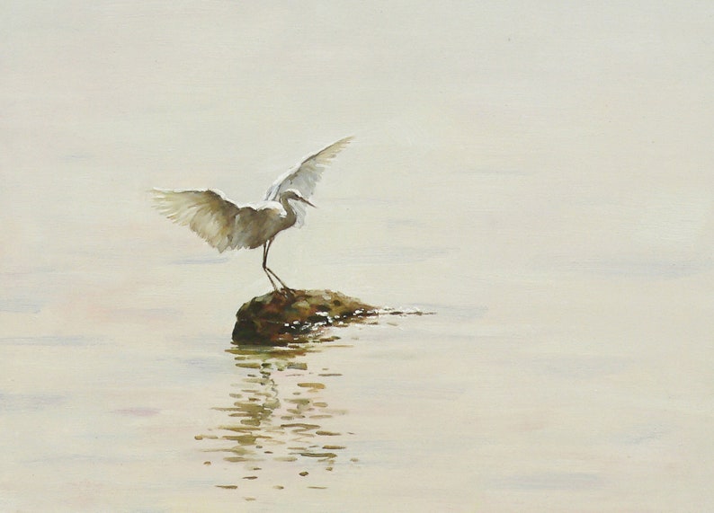 Puede incluir: Una garceta blanca con las alas extendidas se posa sobre una peque&ntilde;a roca en un cuerpo de agua. El agua est&aacute; tranquila y refleja el cielo y la garceta.