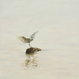 Puede incluir: Una garceta blanca con las alas extendidas se posa sobre una peque&ntilde;a roca en un cuerpo de agua. El agua est&aacute; tranquila y refleja la garceta y el cielo.