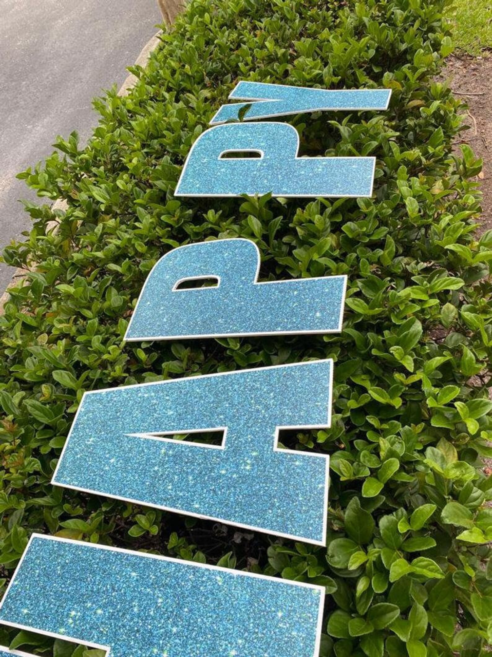 Your Custom Own Yard Letters Etsy