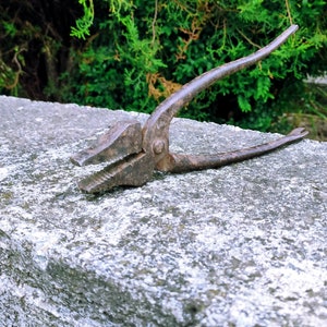 May include: A rusty metal tool with a long handle and two jaws. The tool is lying on a gray concrete surface.
