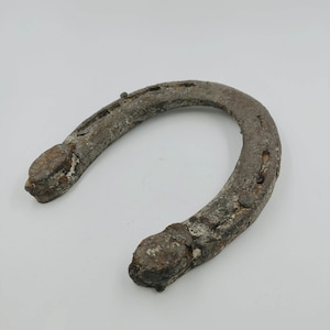 Real Lucky Horseshoe: Antique Rustic Wall Decor