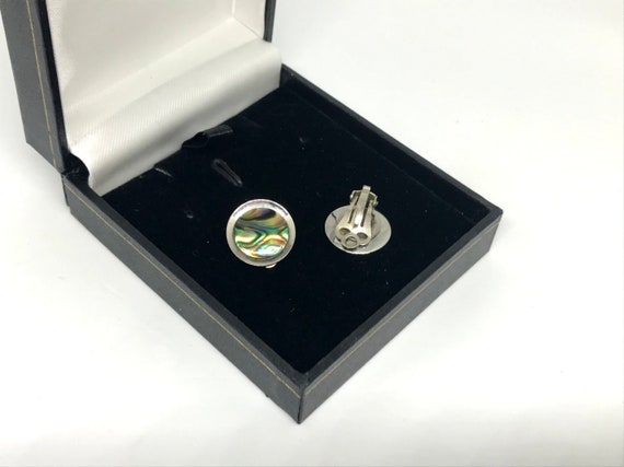 Paua shell studs dainty paua shell earrings abalone jewelry