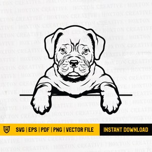 French Mastiff Svg | Peeking Dog Smiling | Puppy Paws | Pedigree Bloodline | Pet Breed | K-9 Canine Foxhound Logo