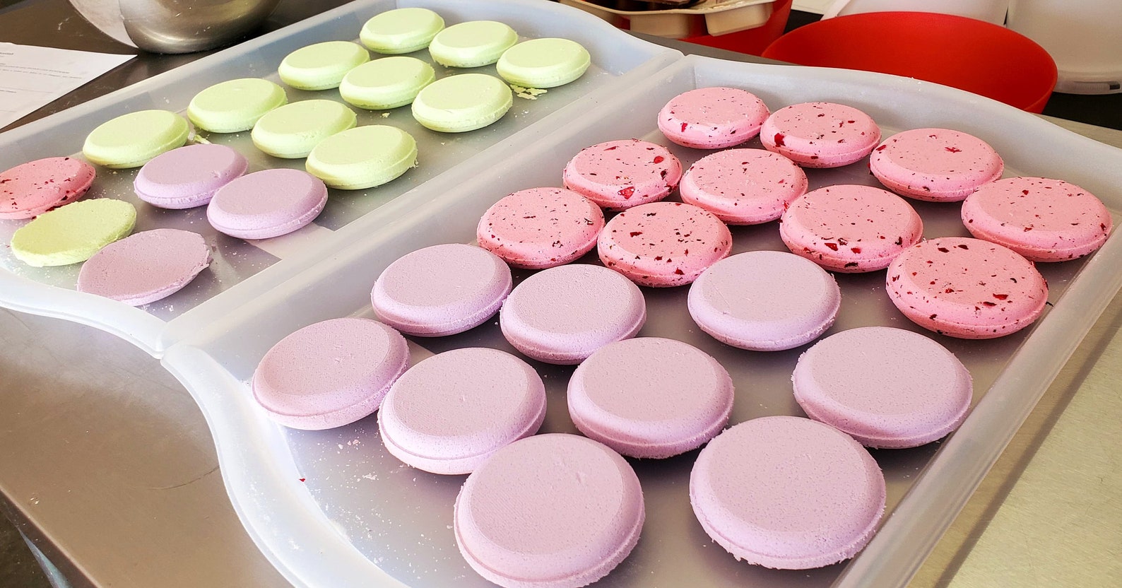 Wholesale Shower Steamers Made To Order Custom Labels Etsy