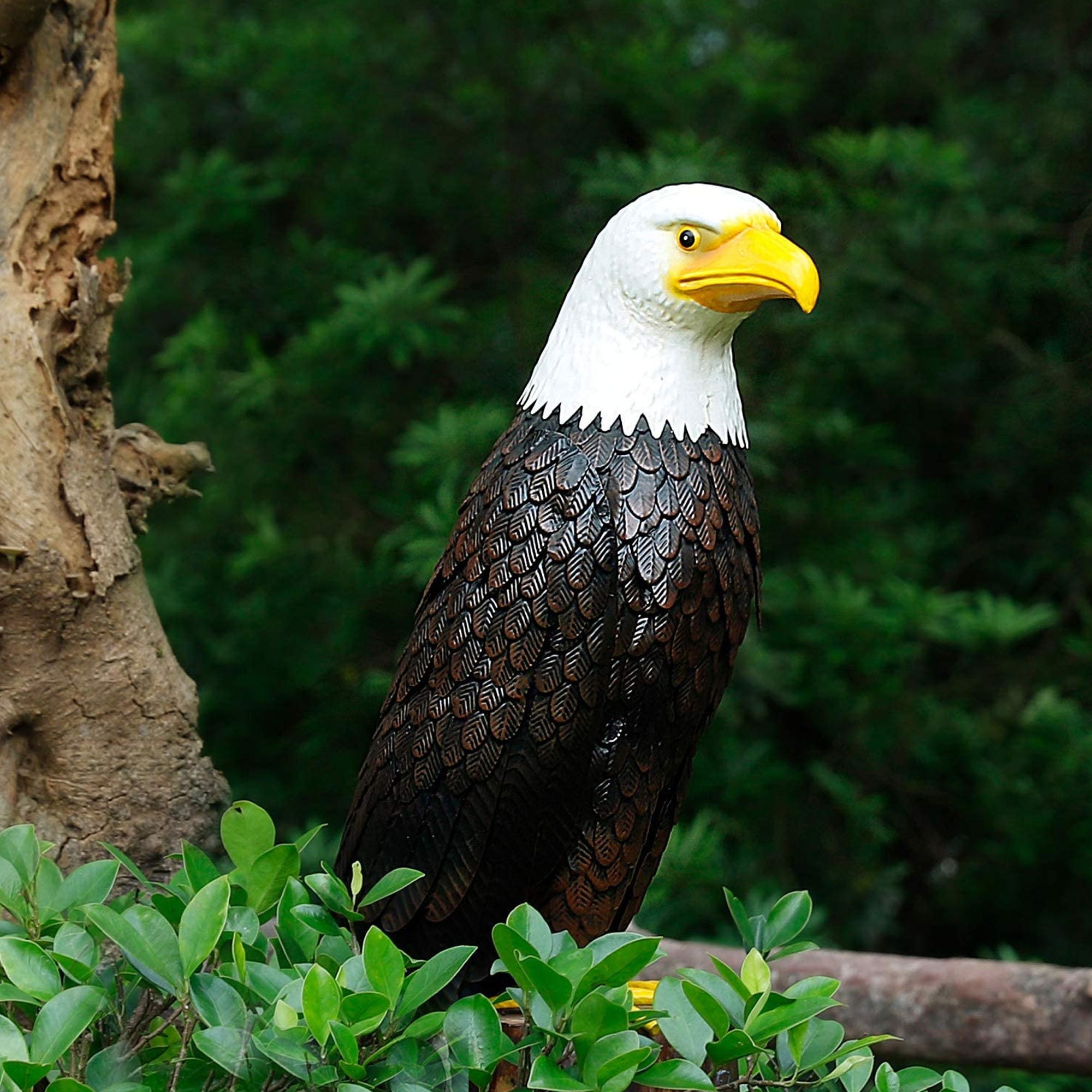Hand Painted Bald Eagle Outdoor Metal Yard Art Statue and | Etsy