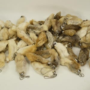 May include: A collection of rabbit's foot keychains in various shades of brown and cream. Each foot is attached to a silver-colored metal cap and chain. The fur is soft and fluffy, with a natural appearance.