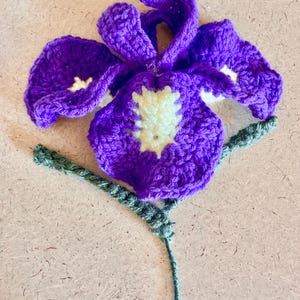 Iris Flower Crochet Pattern