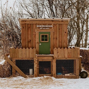 Daisy - 3' x 6' DIY Backyard Chicken Coop Building Guide