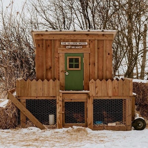 Daisy - 3&#39; x 6&#39; DIY Backyard Chicken Coop Building Guide