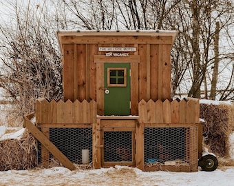 Daisy - 3' x 6' DIY Backyard Chicken Coop Building Guide